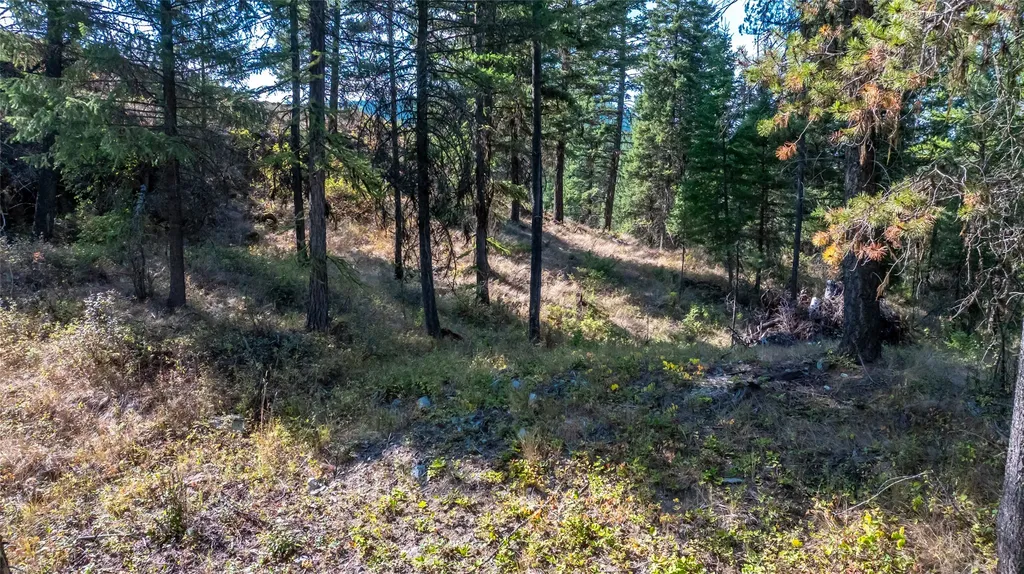 295 Tally Lake Road Whitefish MT 59937