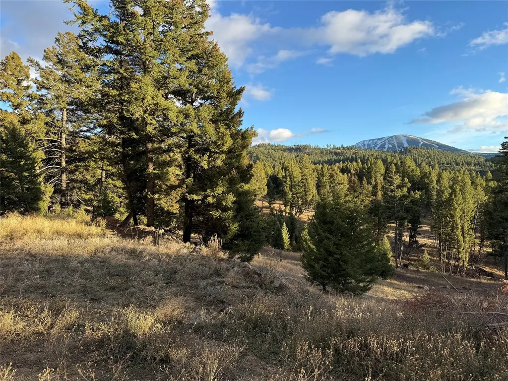 Lot 4 Scranton Lode Philipsburg MT 59858