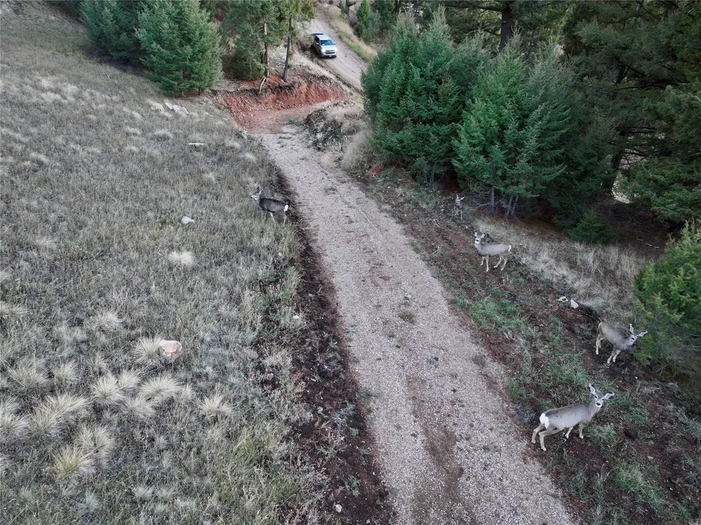Lot 4 Scranton Lode Philipsburg MT 59858