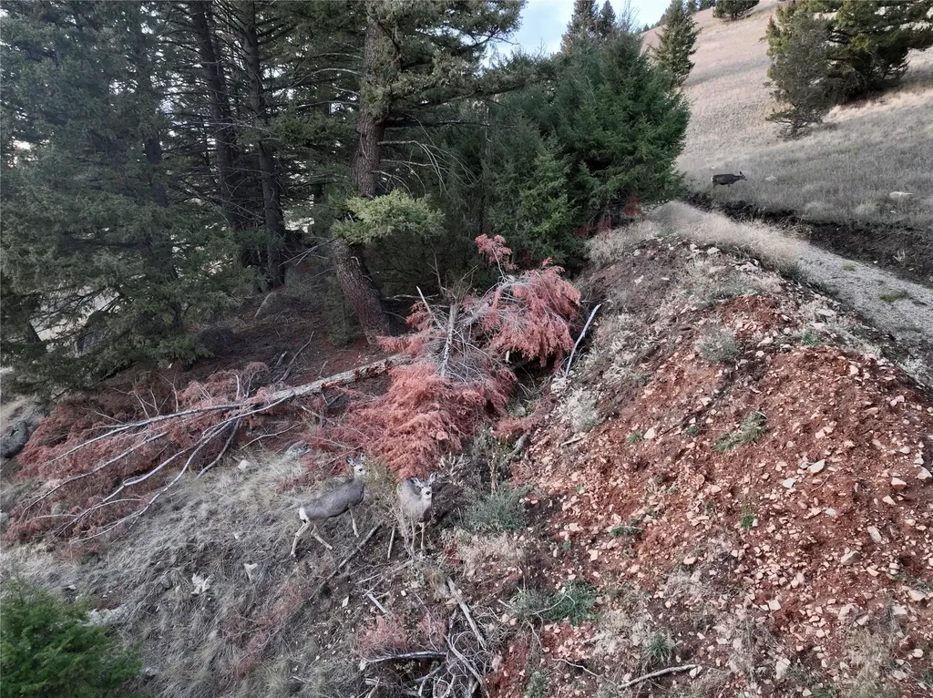 Lot 4 Scranton Lode Philipsburg MT 59858
