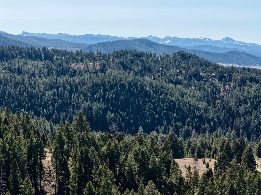 Lot 4 Scranton Lode Philipsburg MT 59858