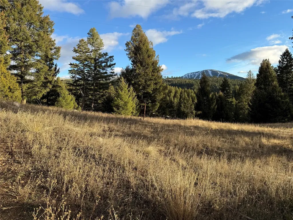 Lot 4 Scranton Lode Philipsburg MT 59858