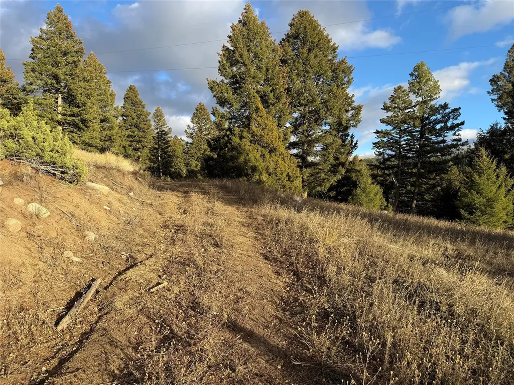 Lot 4 Scranton Lode Philipsburg MT 59858