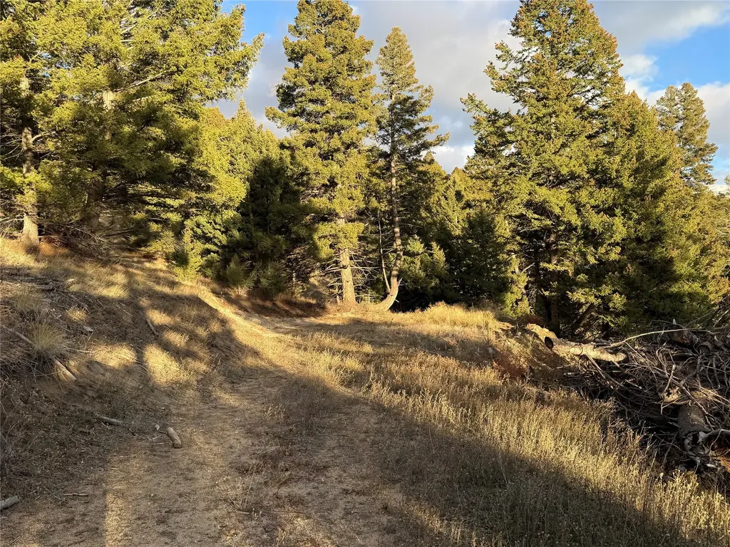 Lot 4 Scranton Lode Philipsburg MT 59858