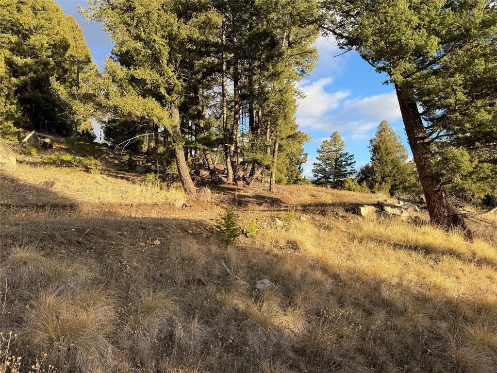 Lot 4 Scranton Lode Philipsburg MT 59858