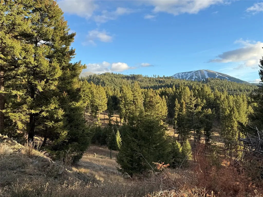 Lot 4 Scranton Lode Philipsburg MT 59858