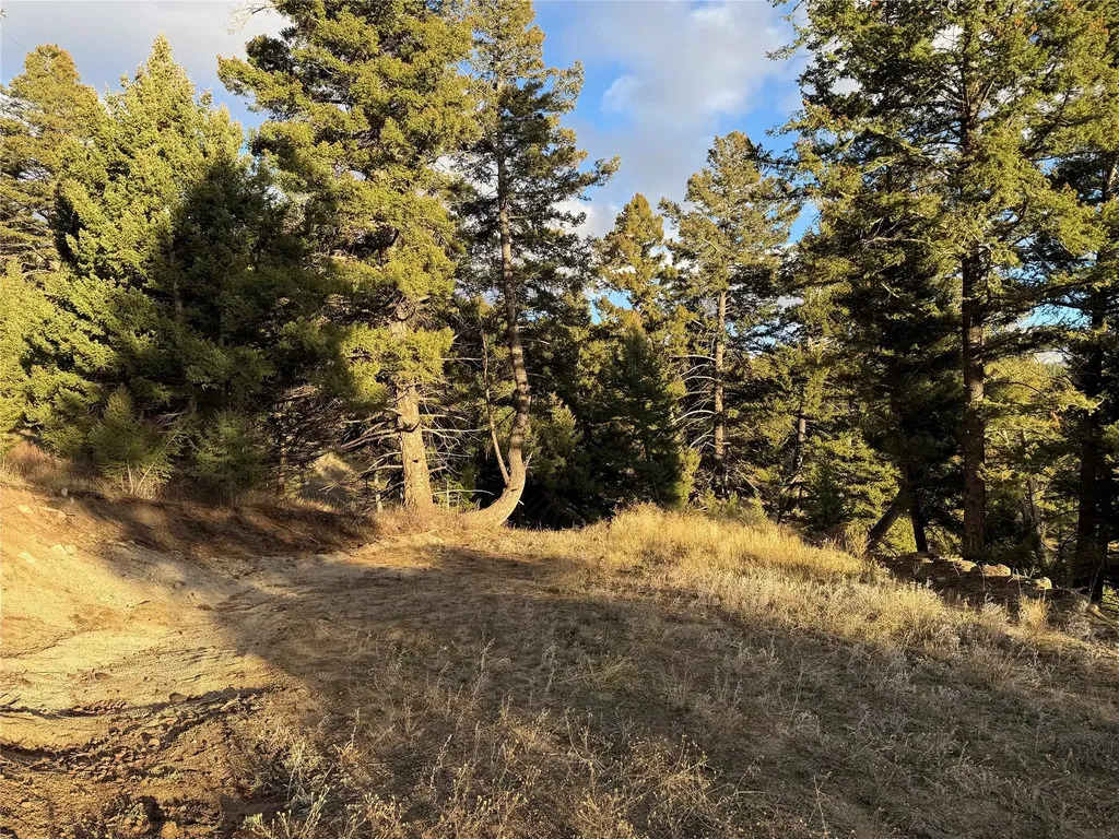 Lot 4 Scranton Lode Philipsburg MT 59858