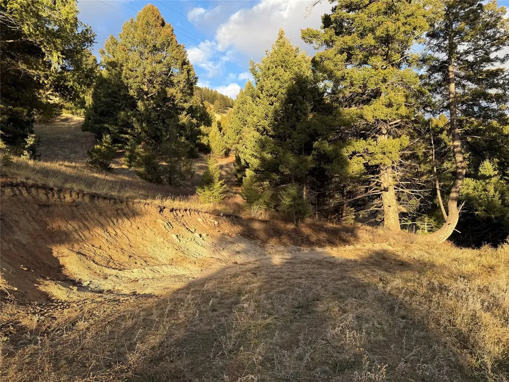 Lot 4 Scranton Lode Philipsburg MT 59858