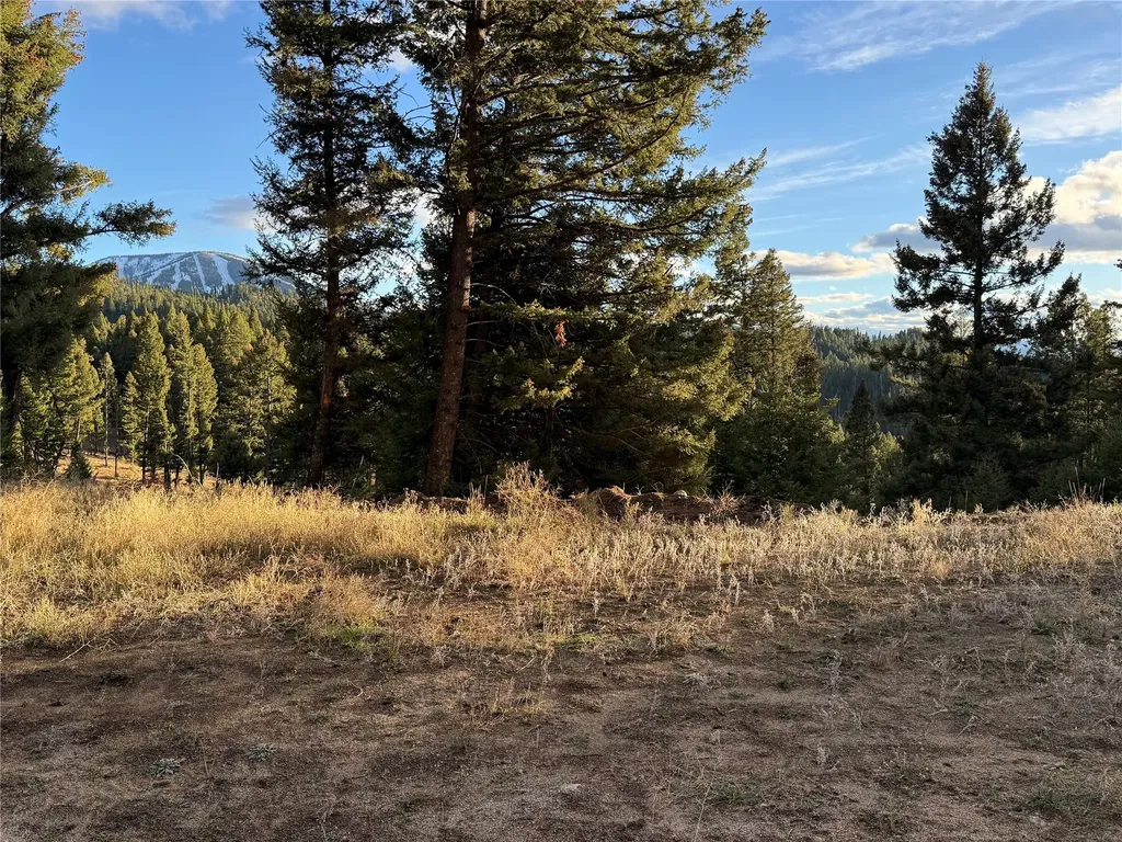 Lot 4 Scranton Lode Philipsburg MT 59858