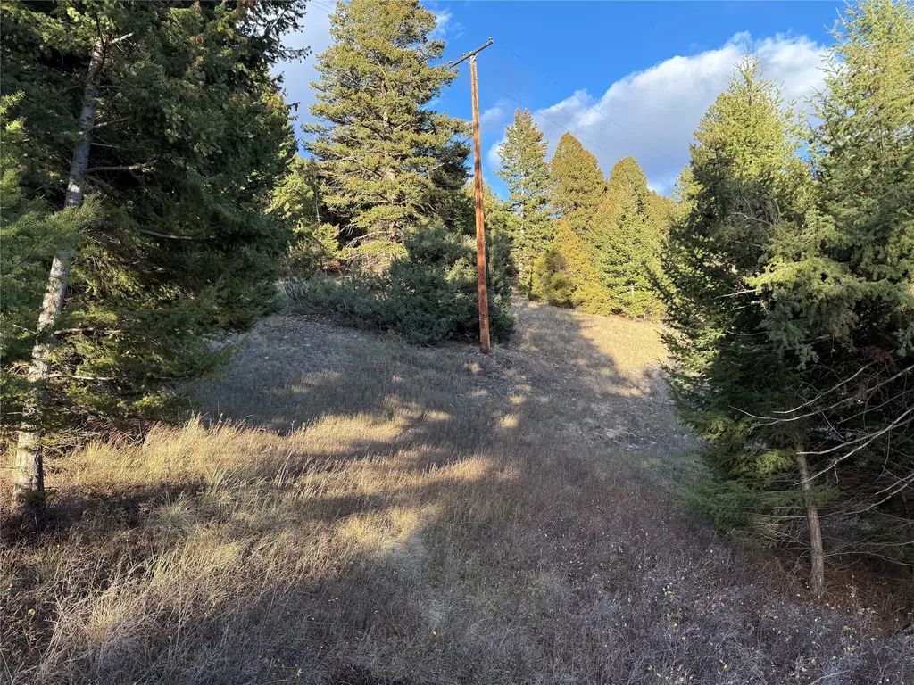 Lot 4 Scranton Lode Philipsburg MT 59858