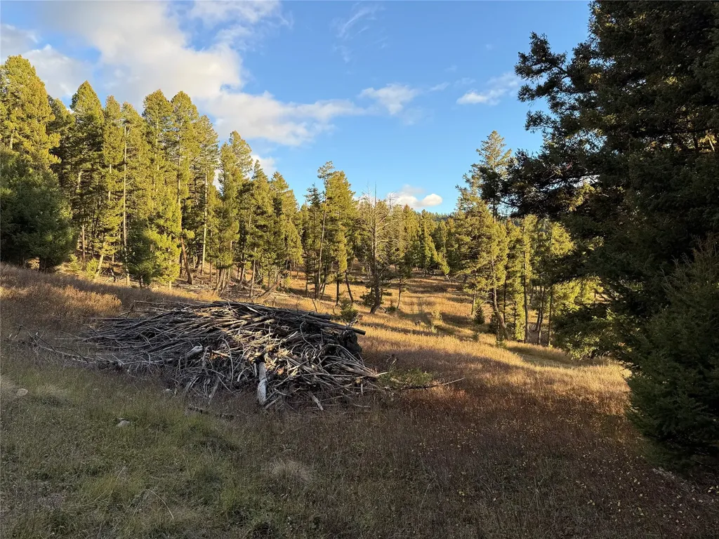 Lot 4 Scranton Lode Philipsburg MT 59858