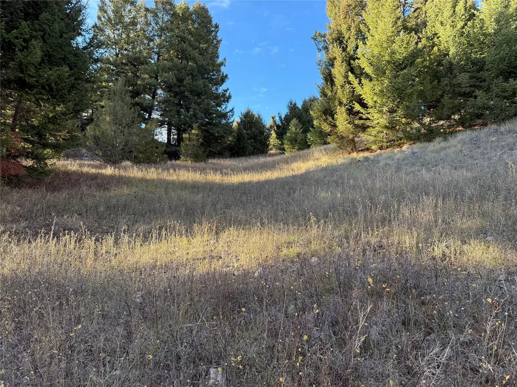 Lot 4 Scranton Lode Philipsburg MT 59858