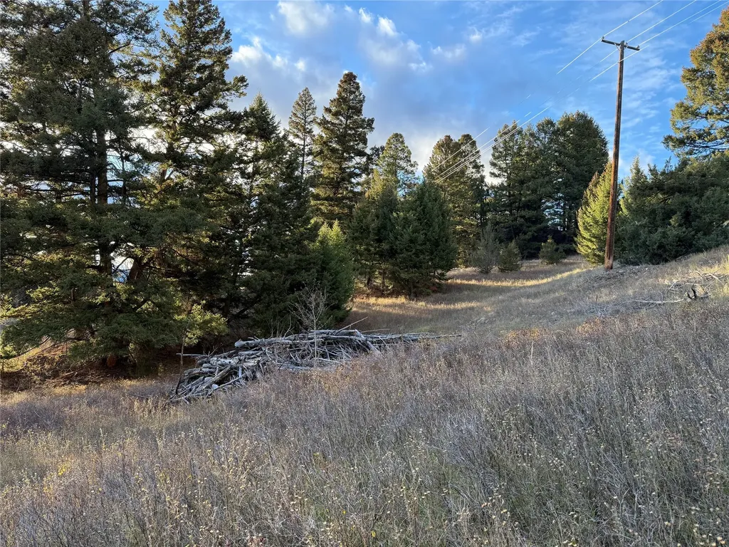 Lot 4 Scranton Lode Philipsburg MT 59858