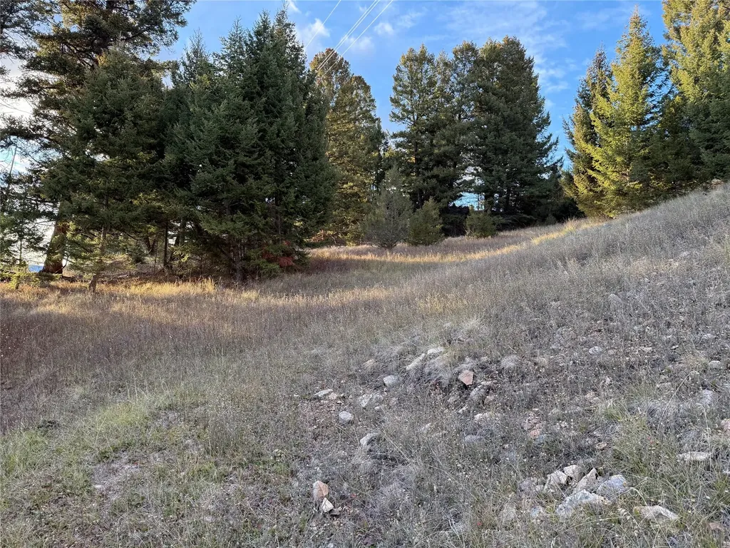 Lot 4 Scranton Lode Philipsburg MT 59858