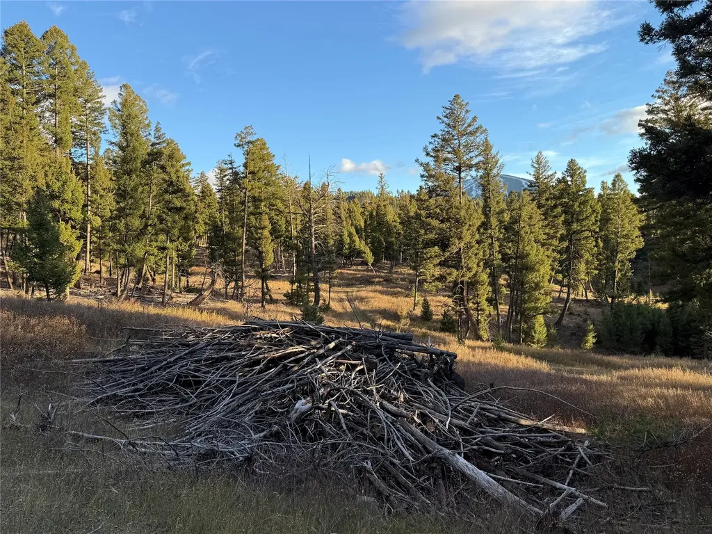 Lot 4 Scranton Lode Philipsburg MT 59858