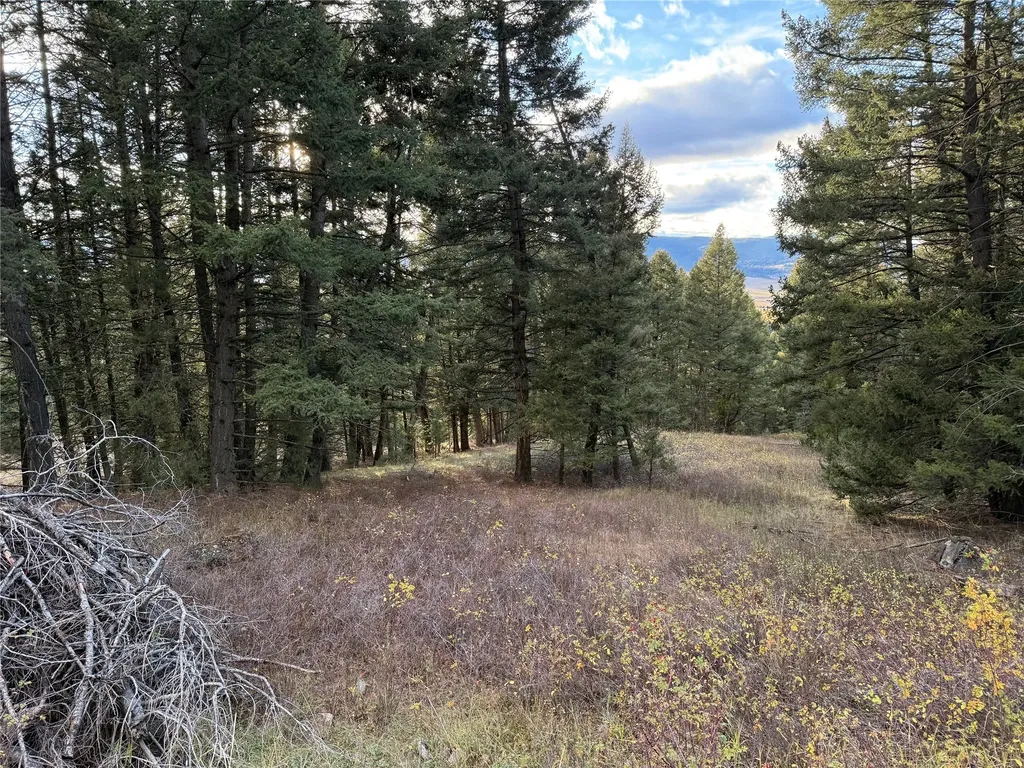 Lot 3 Scranton Lode Philipsburg MT 59858