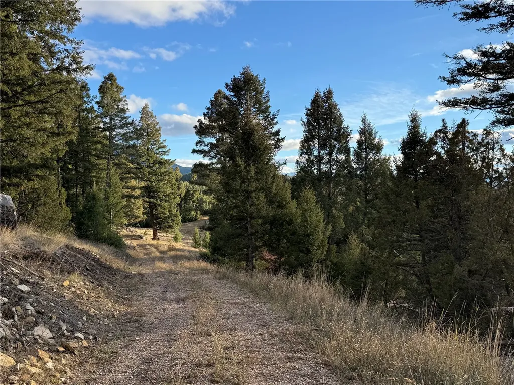 Lot 3 Scranton Lode Philipsburg MT 59858
