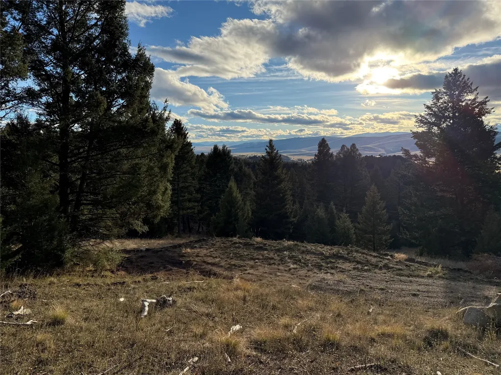 Lot 3 Scranton Lode Philipsburg MT 59858