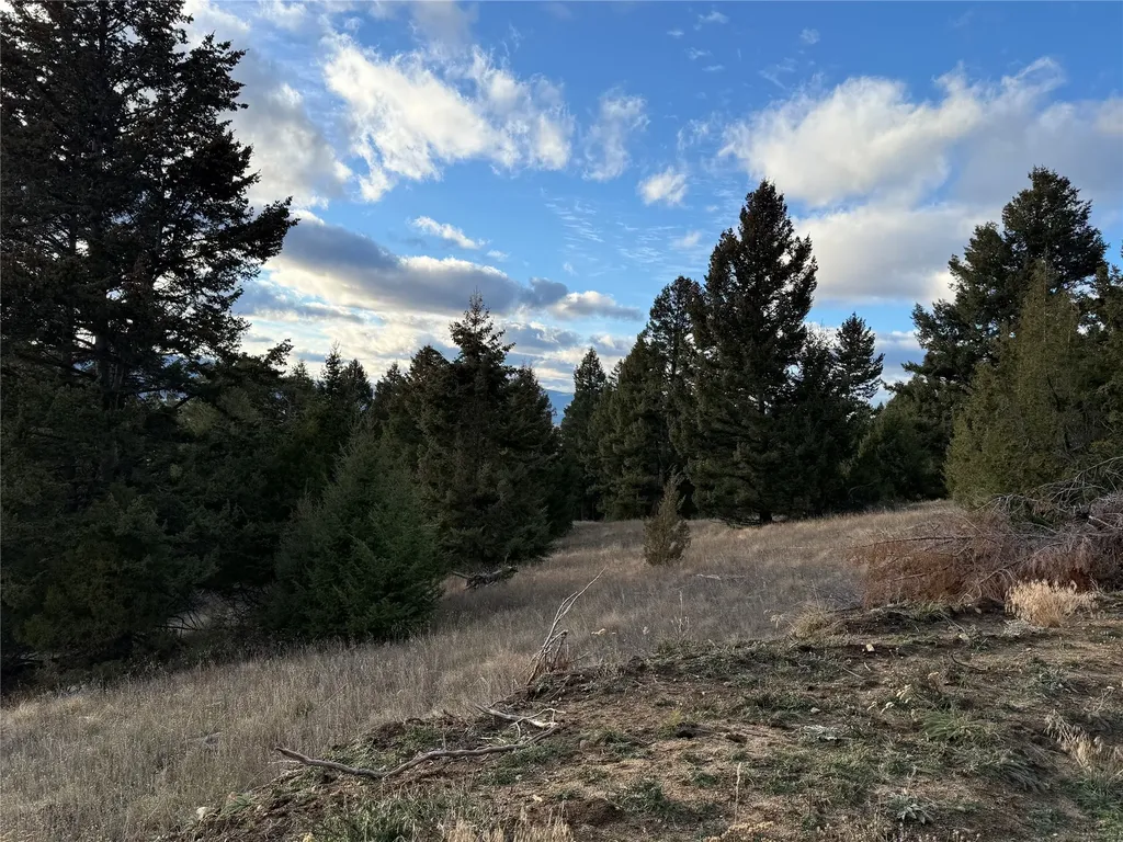 Lot 3 Scranton Lode Philipsburg MT 59858