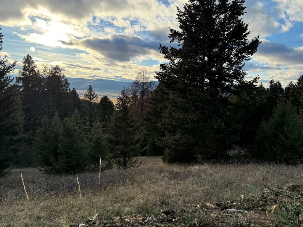 Lot 3 Scranton Lode Philipsburg MT 59858