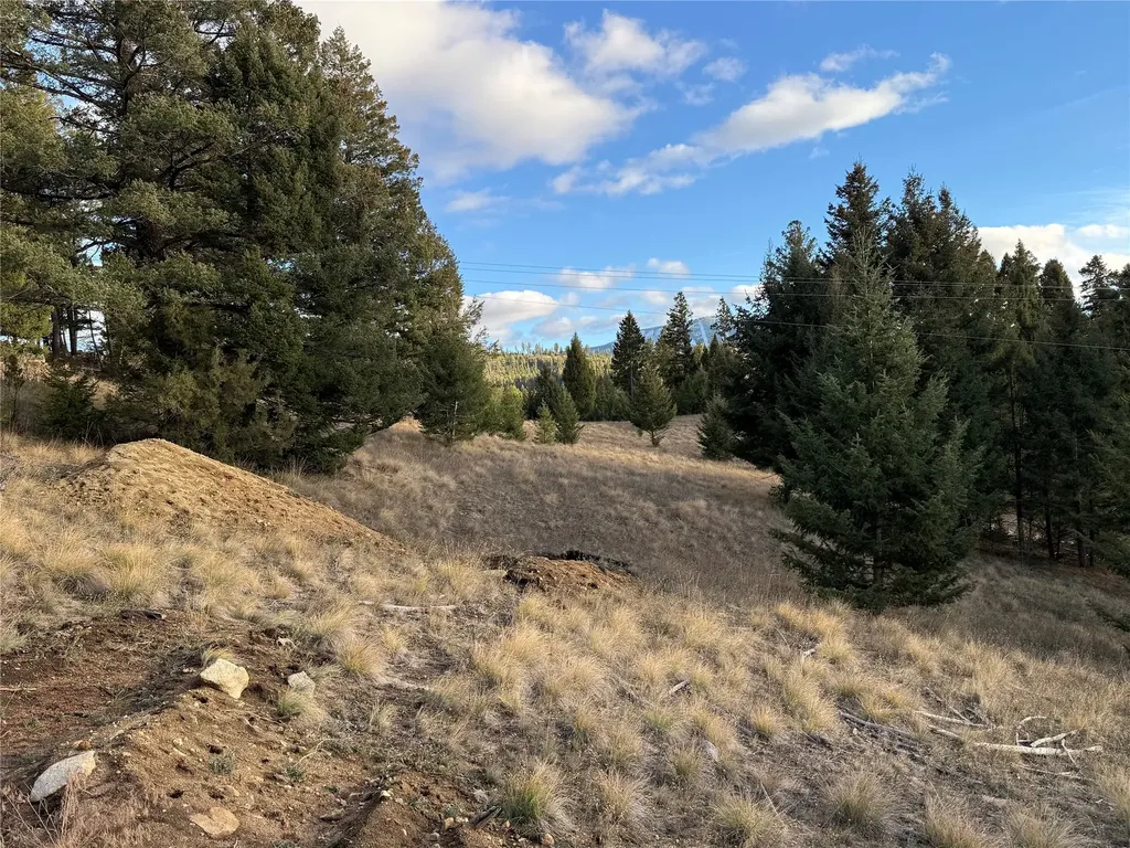 Lot 3 Scranton Lode Philipsburg MT 59858