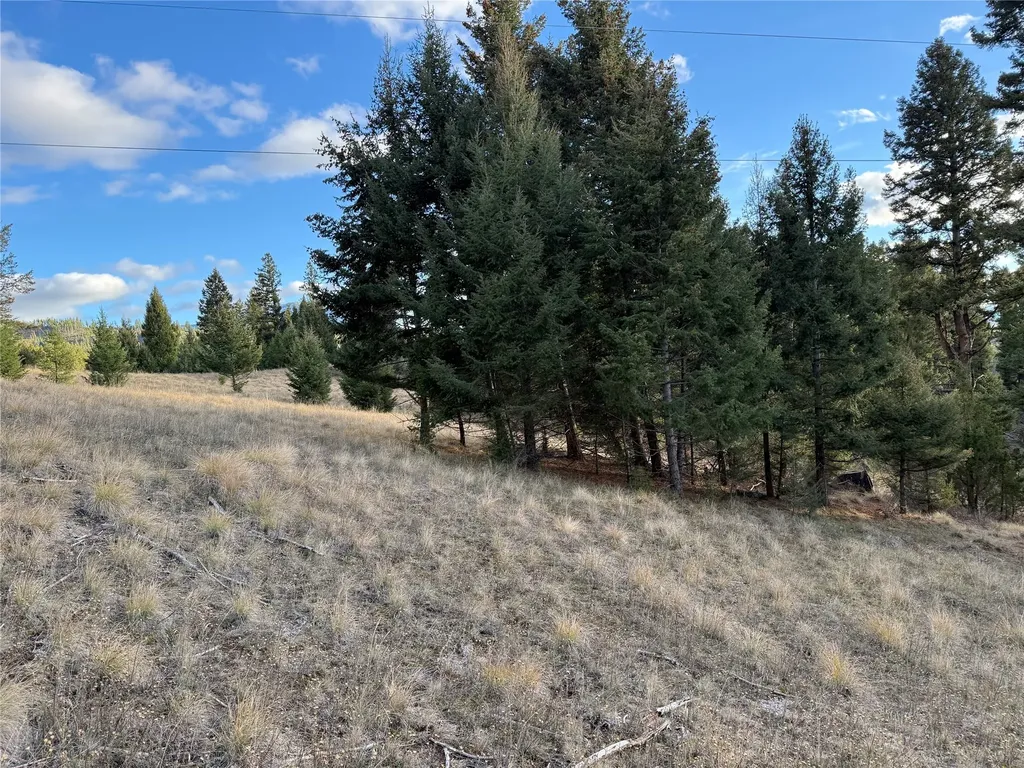 Lot 3 Scranton Lode Philipsburg MT 59858