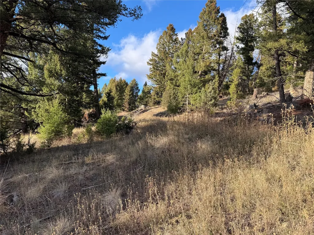 Lot 3 Scranton Lode Philipsburg MT 59858