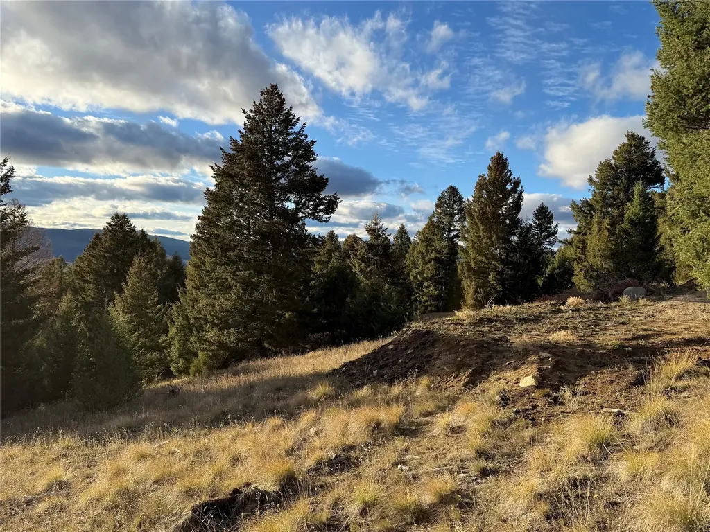 Lot 3 Scranton Lode Philipsburg MT 59858