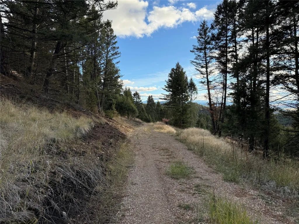 Lot 3 Scranton Lode Philipsburg MT 59858
