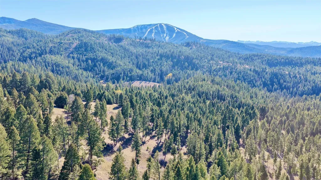 Lot 5 Scranton Lode Philipsburg MT 59858