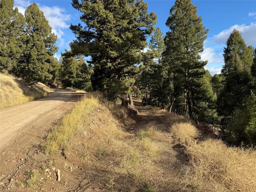 Lot 5 Scranton Lode Philipsburg MT 59858