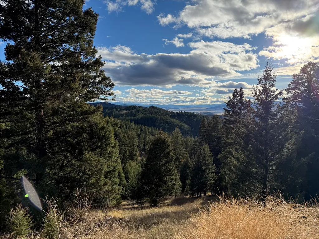 Lot 5 Scranton Lode Philipsburg MT 59858