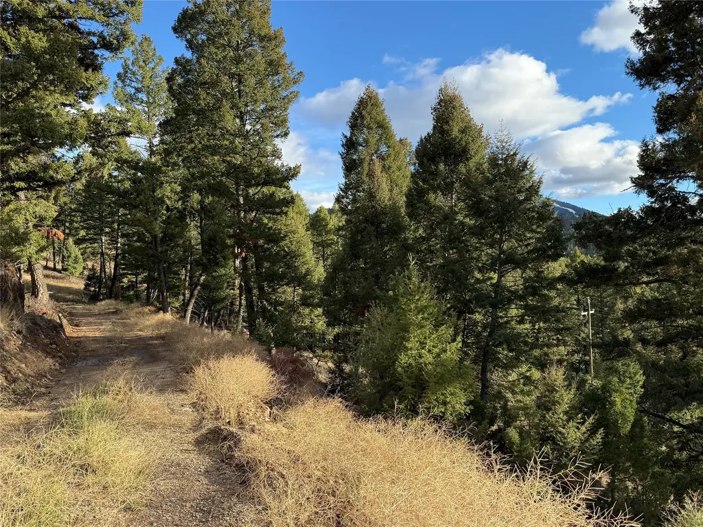 Lot 5 Scranton Lode Philipsburg MT 59858