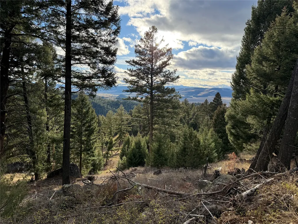 Lot 5 Scranton Lode Philipsburg MT 59858