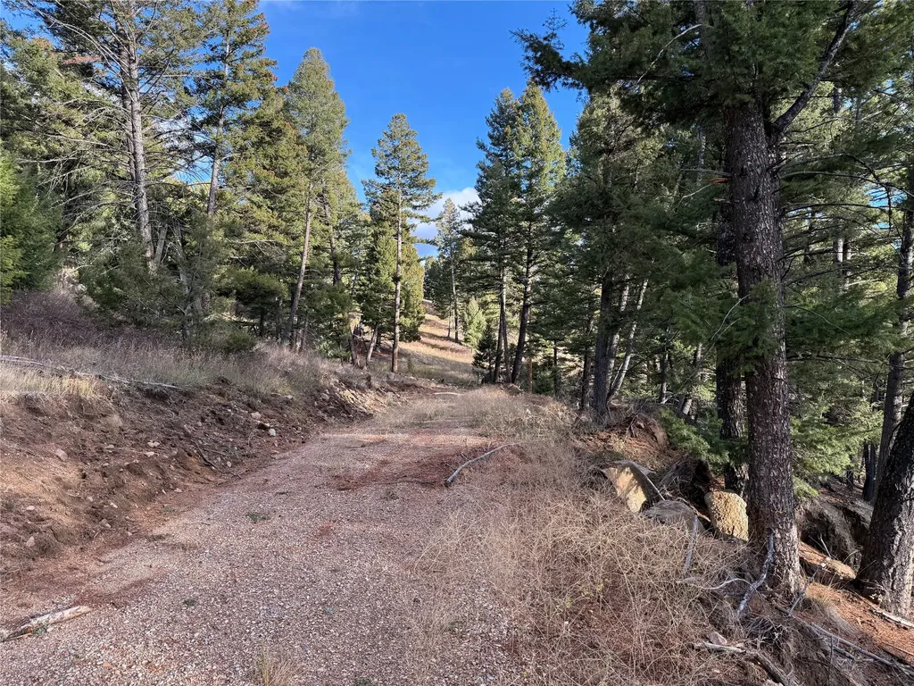 Lot 5 Scranton Lode Philipsburg MT 59858