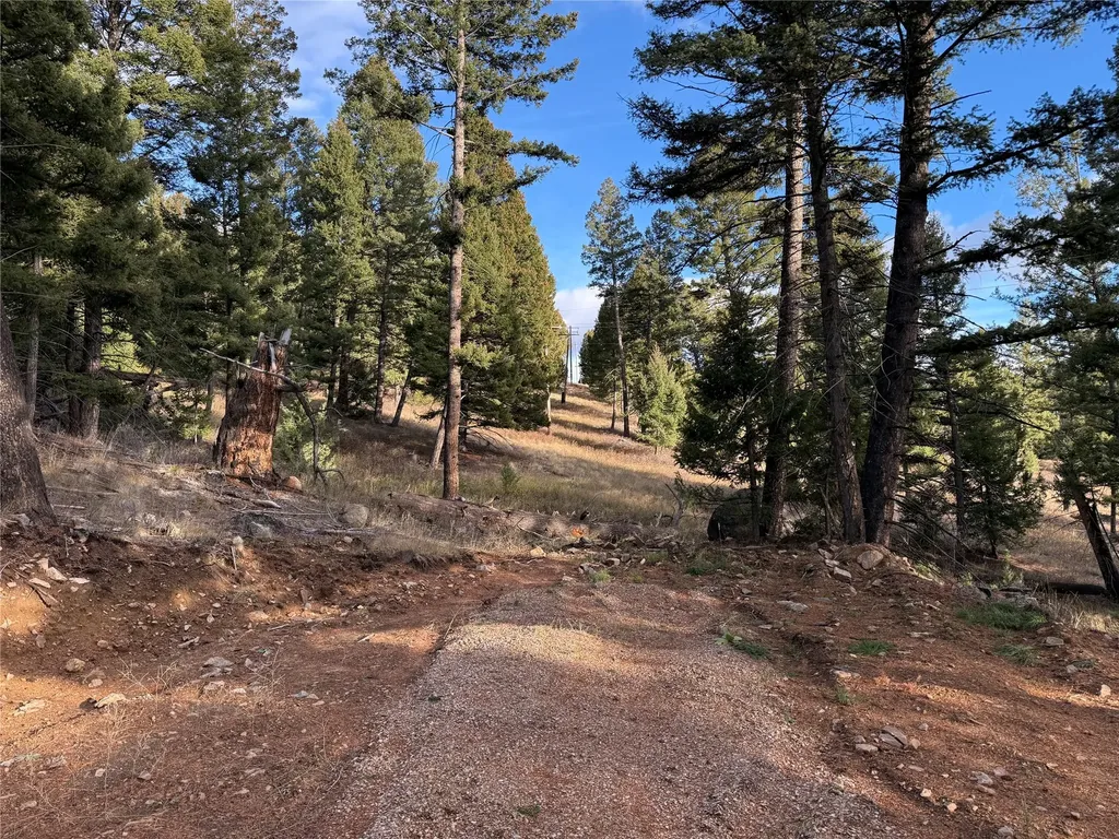 Lot 5 Scranton Lode Philipsburg MT 59858