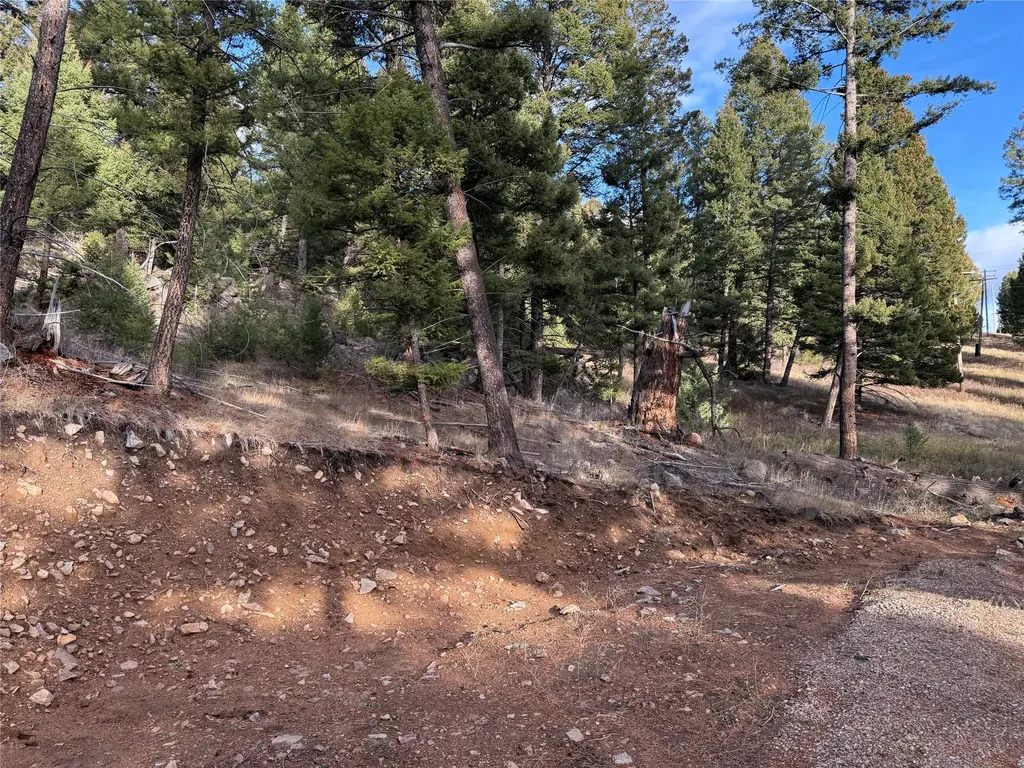 Lot 5 Scranton Lode Philipsburg MT 59858