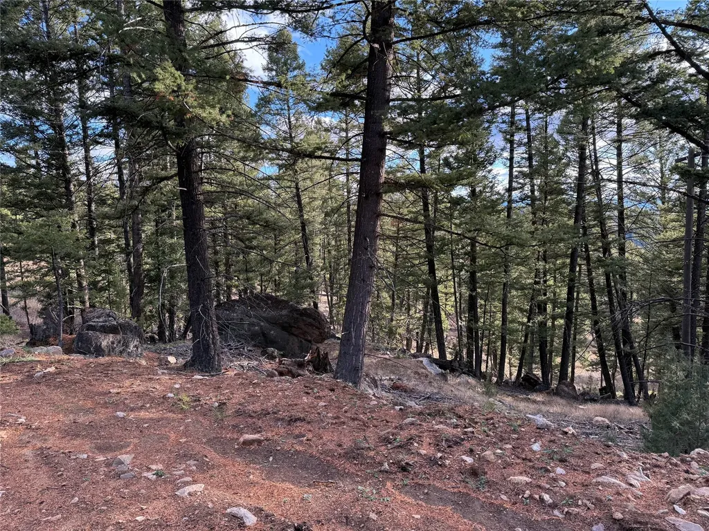 Lot 5 Scranton Lode Philipsburg MT 59858