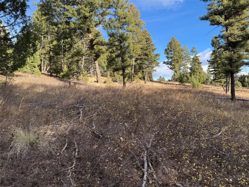 Lot 5 Scranton Lode Philipsburg MT 59858
