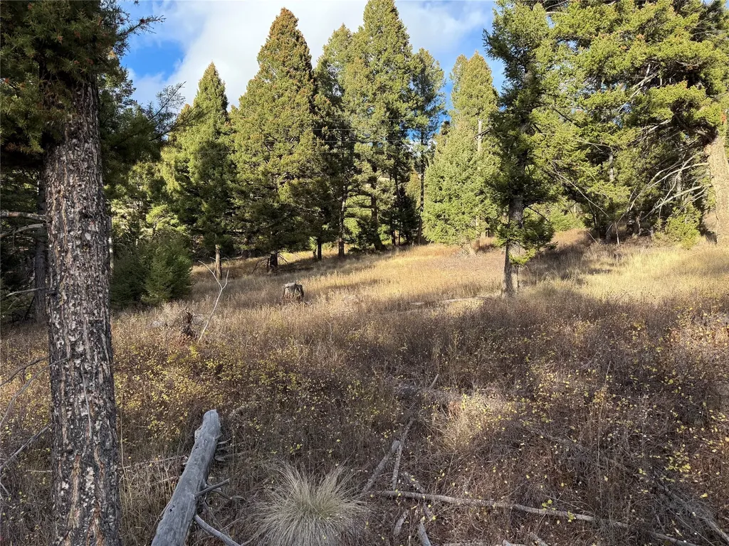 Lot 5 Scranton Lode Philipsburg MT 59858