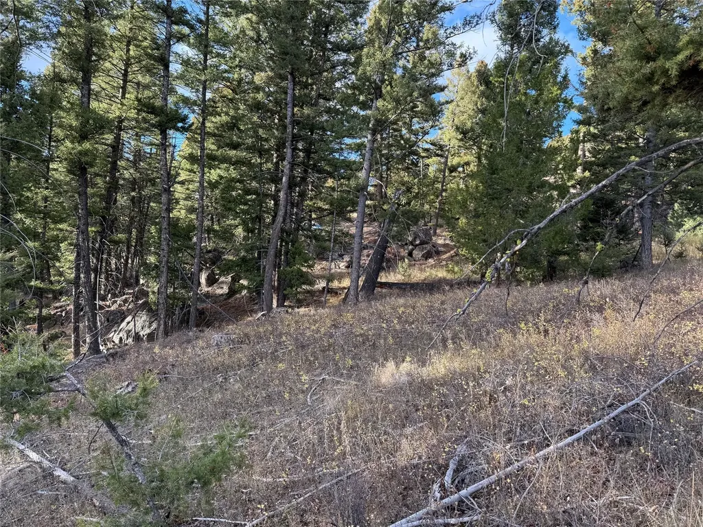 Lot 5 Scranton Lode Philipsburg MT 59858