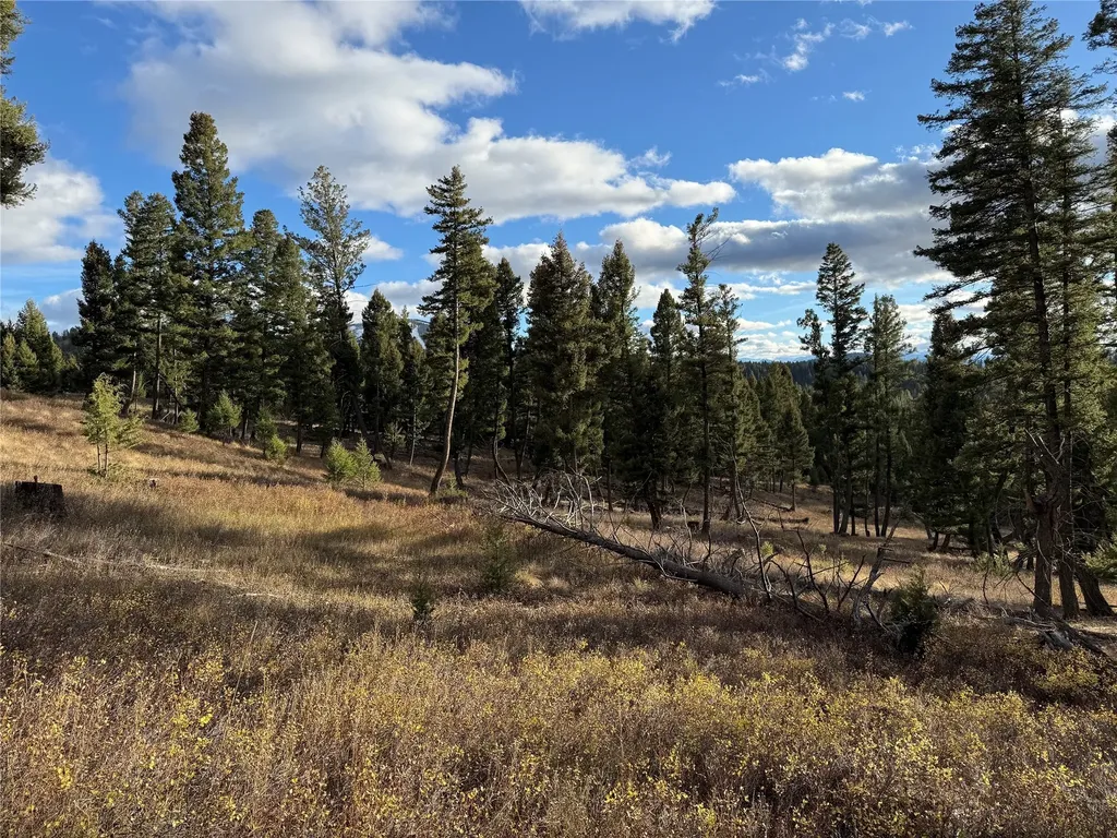 Lot 5 Scranton Lode Philipsburg MT 59858
