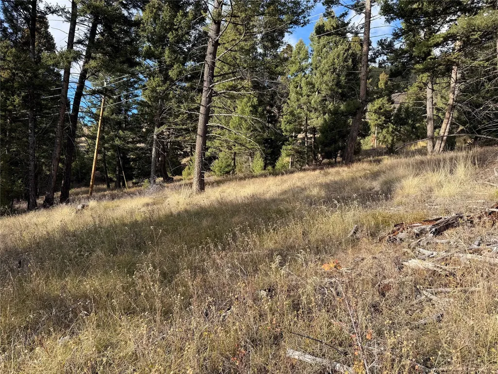 Lot 5 Scranton Lode Philipsburg MT 59858