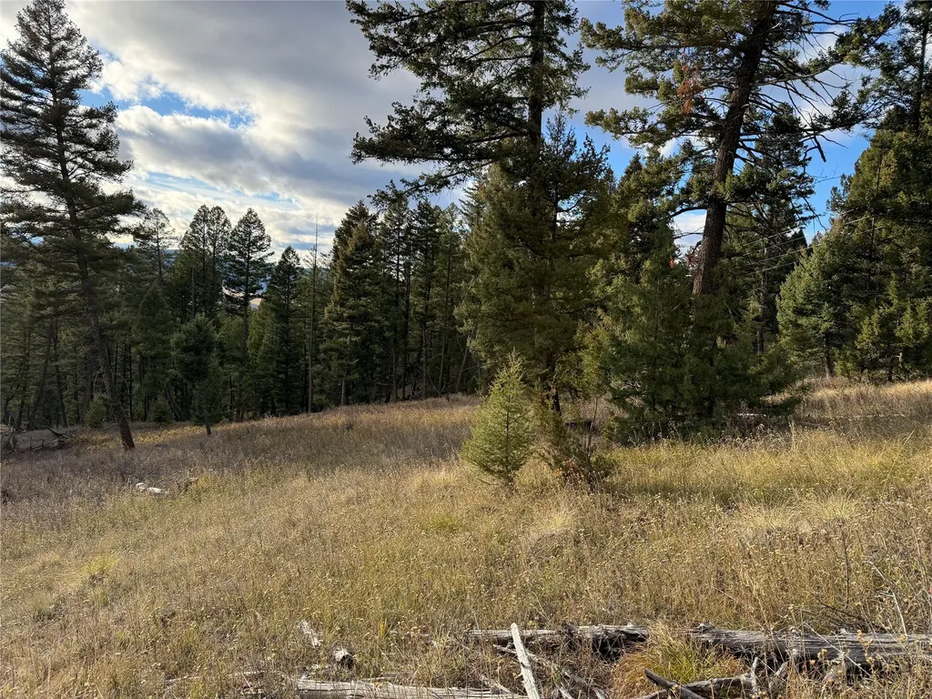 Lot 5 Scranton Lode Philipsburg MT 59858