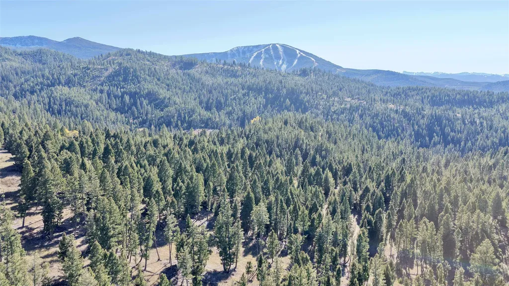 Lot 5 Scranton Lode Philipsburg MT 59858