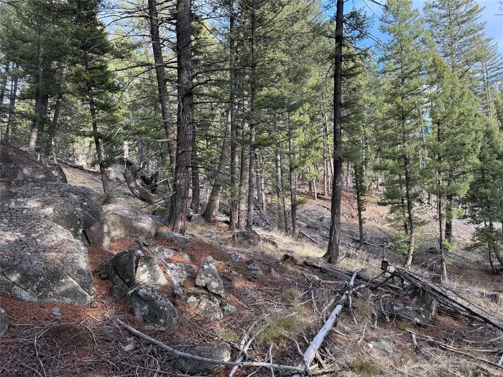 Lot 5 Scranton Lode Philipsburg MT 59858