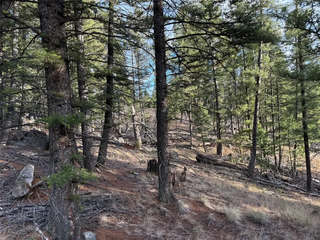 Lot 5 Scranton Lode Philipsburg MT 59858