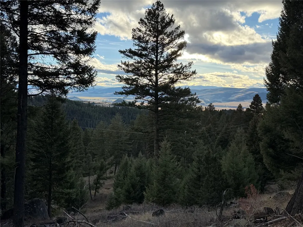 Lot 5 Scranton Lode Philipsburg MT 59858