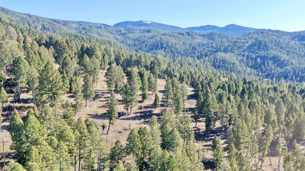 Lot 5 Scranton Lode Philipsburg MT 59858