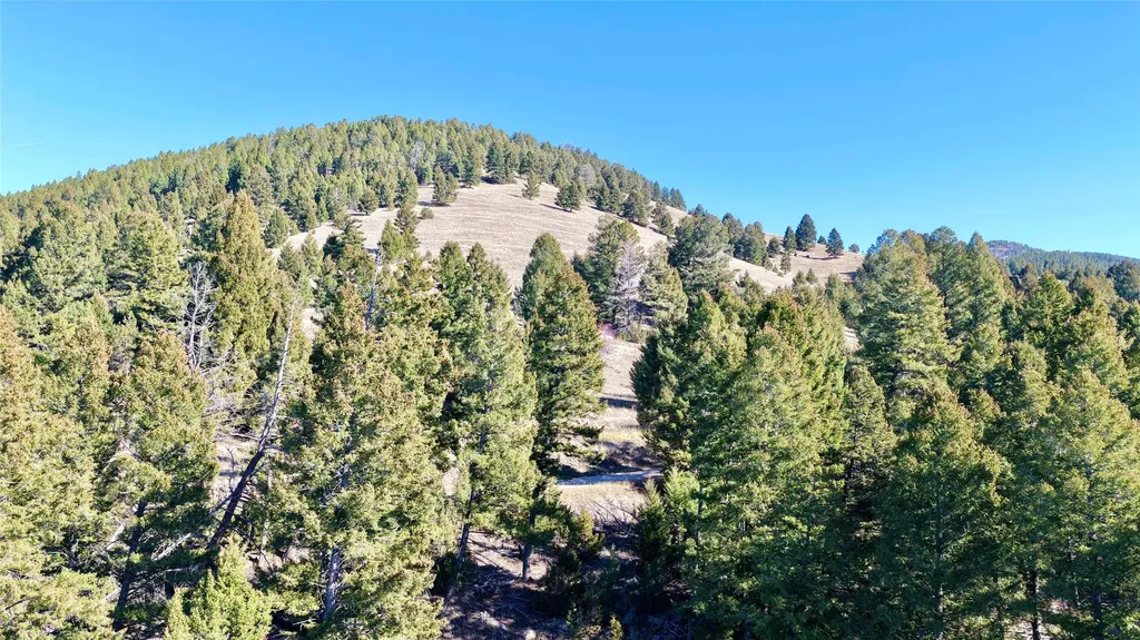 Lot 5 Scranton Lode Philipsburg MT 59858